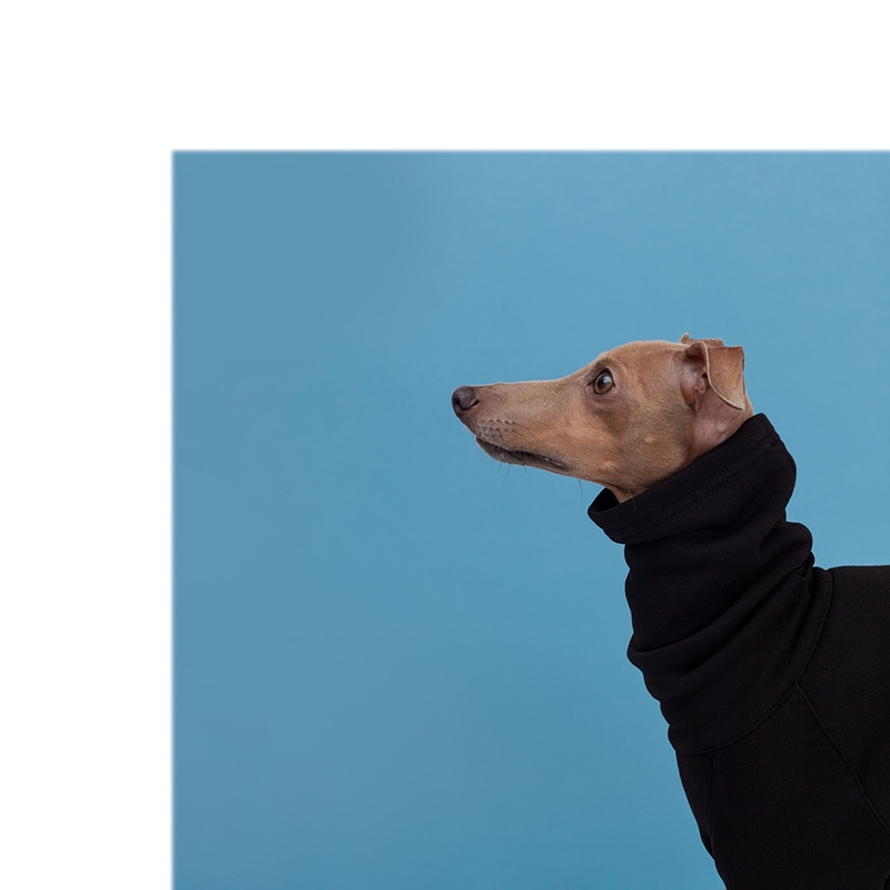 ��SALE��ONESIE - Black Is The New Black