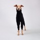 ��SALE��ONESIE - Black Is The New Black