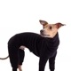 ��SALE��ONESIE - Black Is The New Black