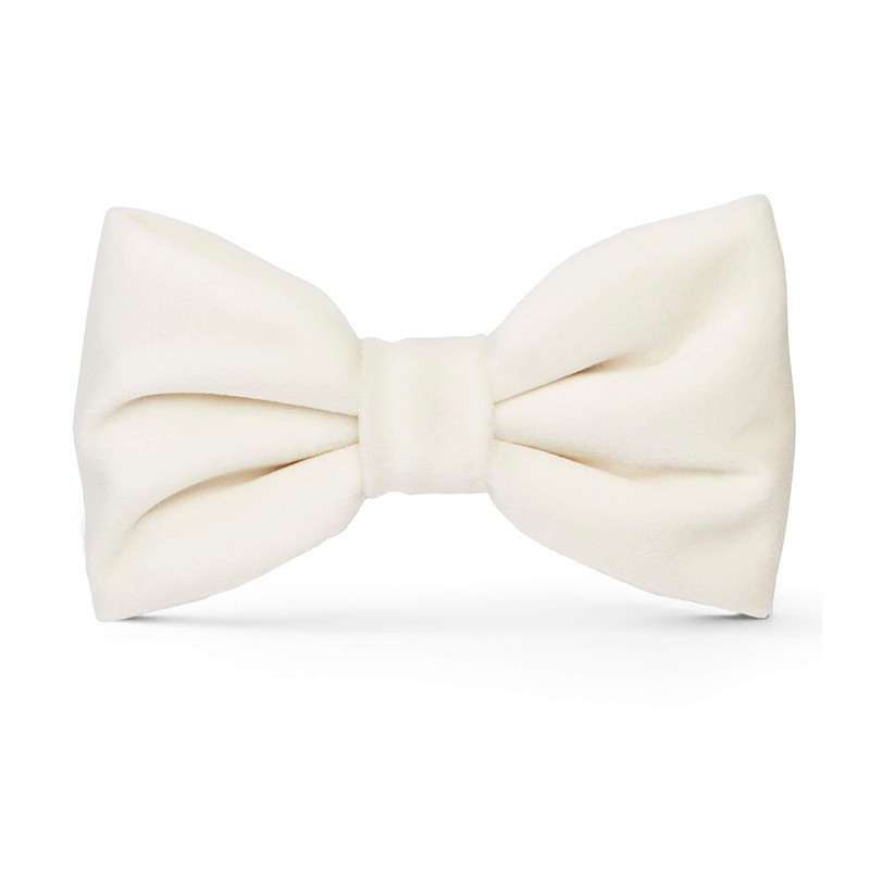 Velvet Dog Bow Tie - Ivory