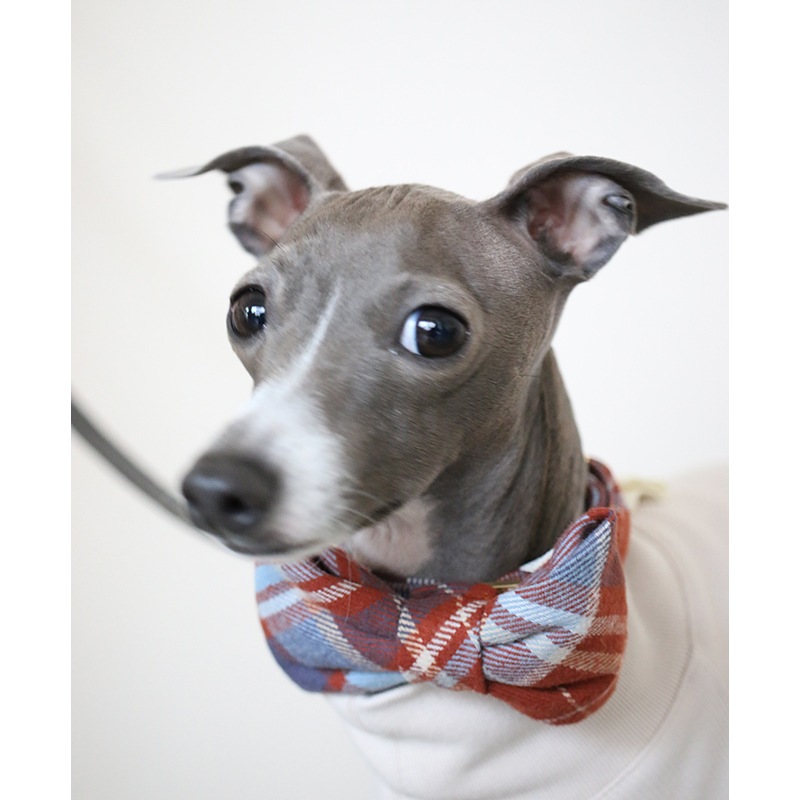 Flannel Dog Bow Tie - Maple Plaid
