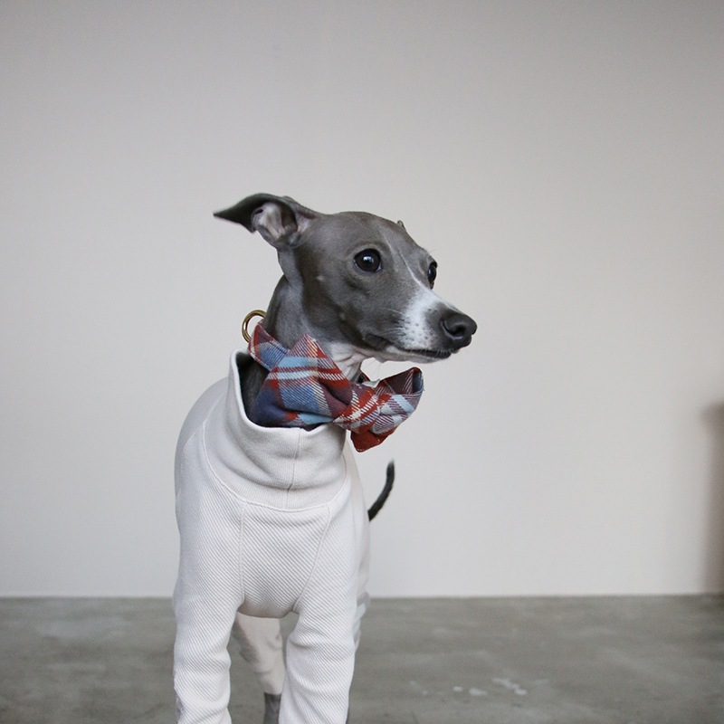 Flannel Dog Bow Tie - Maple Plaid