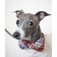 Flannel Dog Bow Tie - Maple Plaid