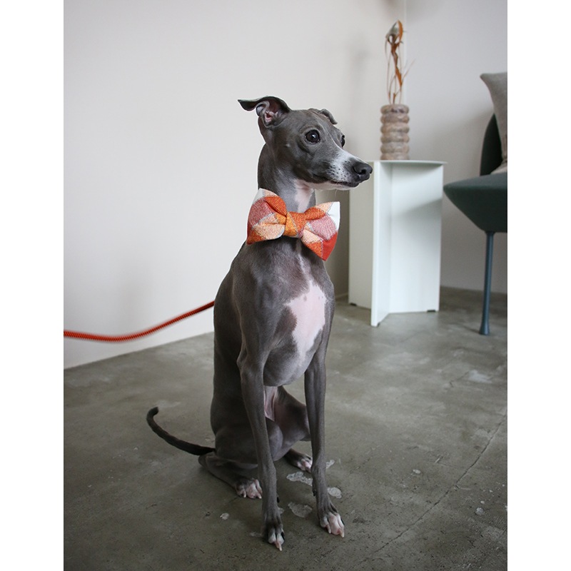 Flannel Dog Bow Tie - Pumpkin Spice Plaid
