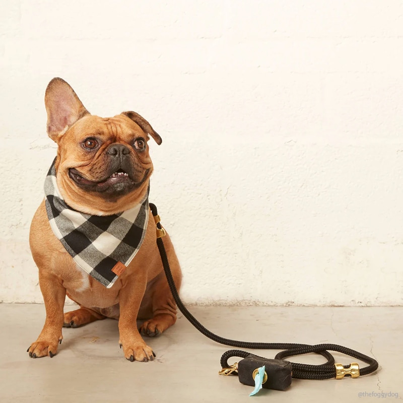 Marine Rope Dog Leash - Black