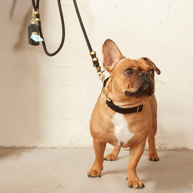 Marine Rope Dog Leash - Black