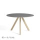 CPH20ROUND ��120
