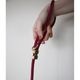 Marine Rope Dog Leash - Wine