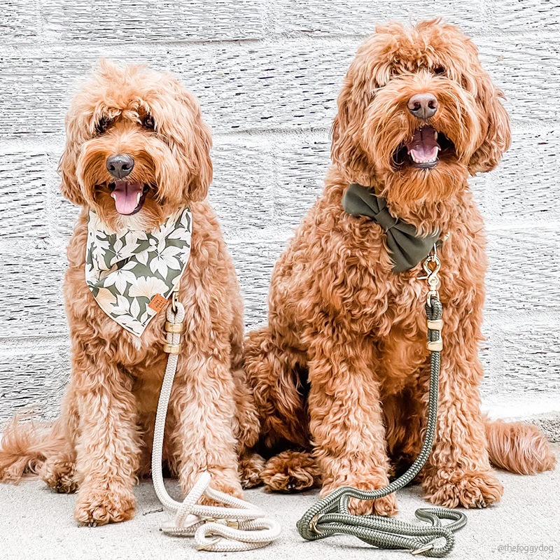 Marine Rope Dog Leash - Beige