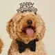 Velvet Dog Collar - Black
