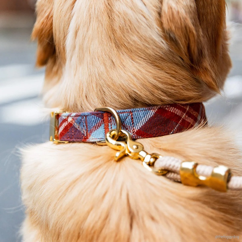 Flannel Dog Collar - Maple Plaid