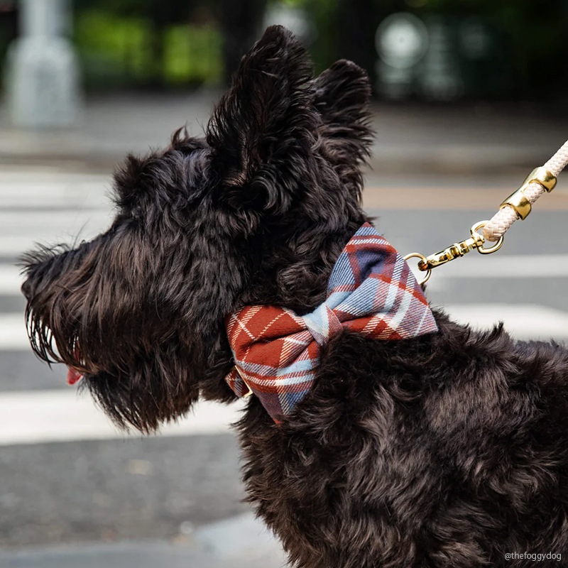 Flannel Dog Collar - Maple Plaid