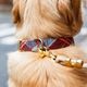 Flannel Dog Collar - Maple Plaid