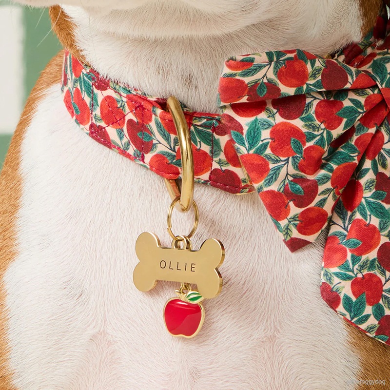Collar Charm - Apple