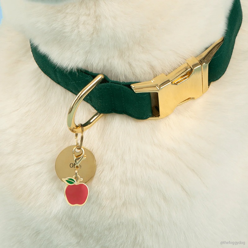 Collar Charm - Apple