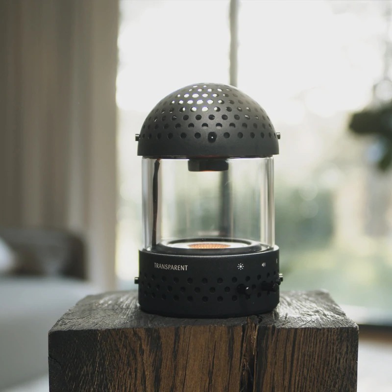 TRANSPARENT / LIGHT SPEAKER
