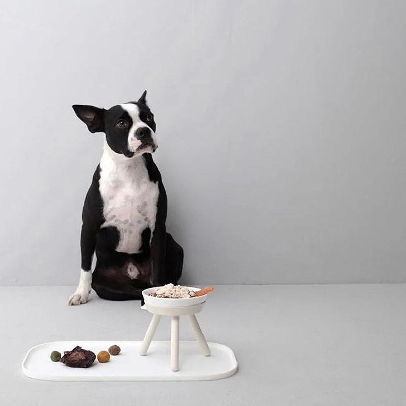 ���쥪�ơ��֥륻�åȡ�SHORT�� - White beige