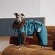 2WAY�ɿ奤��ʡ��ܥ��ѡ���<br>Detachable Strong Waterproof 4-Leg Parka with Thick Fleece Lining