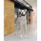 ���ȥ�å��ե��å� �ե꡼������ѡ��� - Greige<br>Mix & Match Freely! Slim Anti-Static Stretch Fleece 4-Leg Jumpsuit