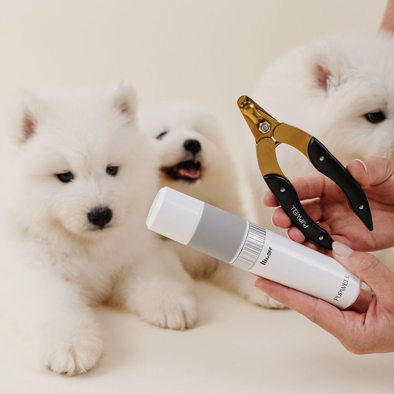 �ͥ��륱�����å�<br>Iconic Nail Duo