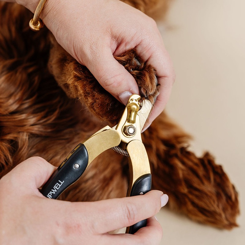 �ͥ��륱�����å�<br>Iconic Nail Duo