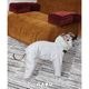 ���ͥ��󥵥졼�ȏ�� �ɿ�ܥ�塼�ॹ�Ρ�������<br>3M Thinsulate��� Antistatic Down-Feel Ultra-Waterproof Extra-Thick 4-Legged Padded Snowsuit