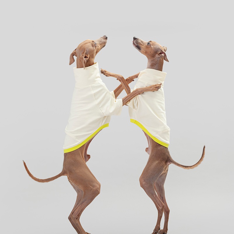 ��SALE��SHIRT - Lemon Pie