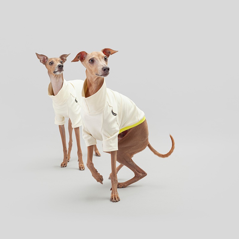 ��SALE��SHIRT - Lemon Pie