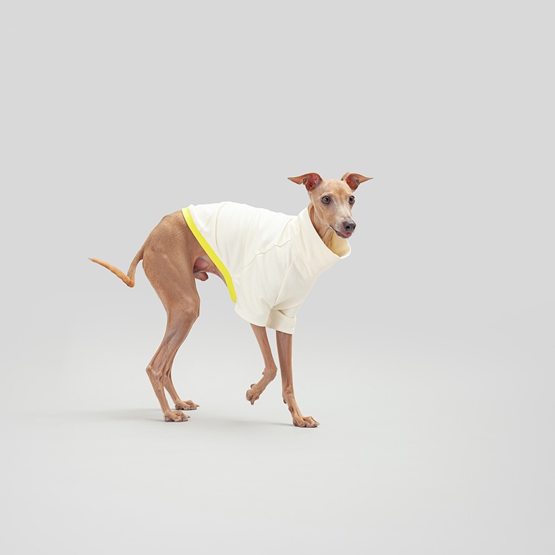 ��SALE��SHIRT - Lemon Pie
