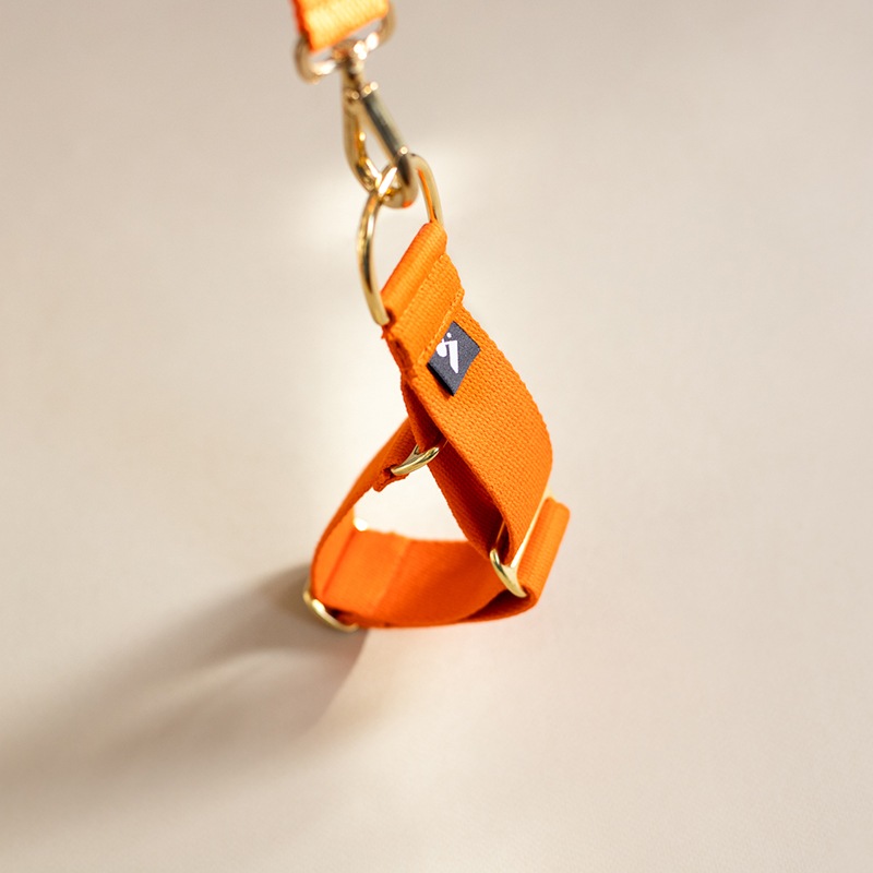 COTTON MARTINGALE COLLAR - Orange