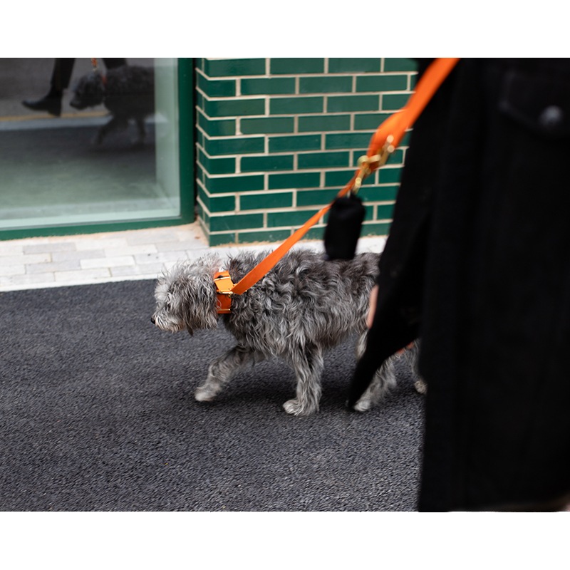 COTTON MARTINGALE COLLAR - Orange