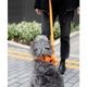 COTTON MARTINGALE COLLAR - Orange