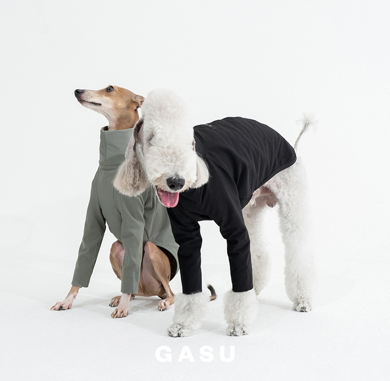 �������ʥ�����T - Ash Grey <br> GASU Svelte��Elastic Nylon 2-Leg Shirt 