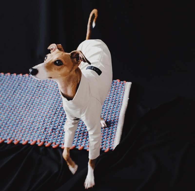 �������ʥ�����T - Fresh Leaves <br> GASU Svelte��Elastic Nylon 2-Leg Shirt 