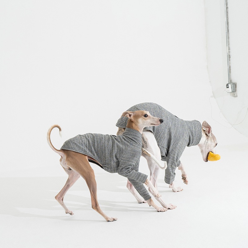 �˥åȥ饤�����åȥ��- Grey <br> GASU Svelte ��2-Leg Fit Shirt 