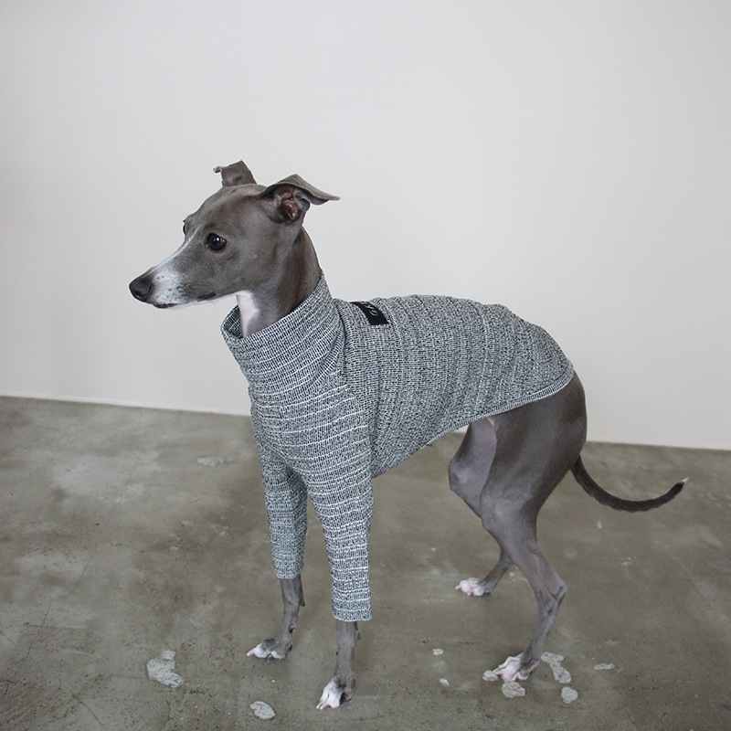 �˥åȥ饤�����åȥ��- Grey <br> GASU Svelte ��2-Leg Fit Shirt 