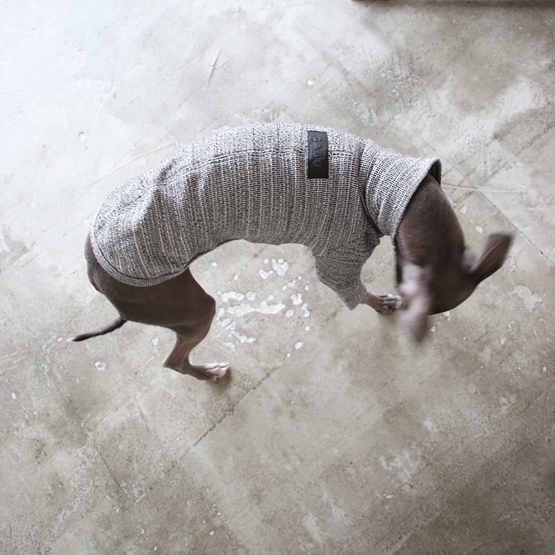 �˥åȥ饤�����åȥ��- Grey <br> GASU Svelte ��2-Leg Fit Shirt 