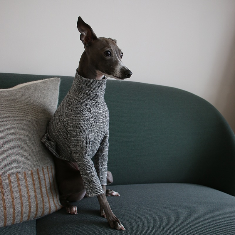 �˥åȥ饤�����åȥ��- Grey <br> GASU Svelte ��2-Leg Fit Shirt 