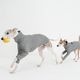 �˥åȥ饤�����åȥ��- Grey <br> GASU Svelte ��2-Leg Fit Shirt 