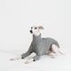 �˥åȥ饤�����åȥ��- Grey <br> GASU Svelte ��2-Leg Fit Shirt 