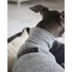 �˥åȥ饤�����åȥ��- Grey <br> GASU Svelte ��2-Leg Fit Shirt 