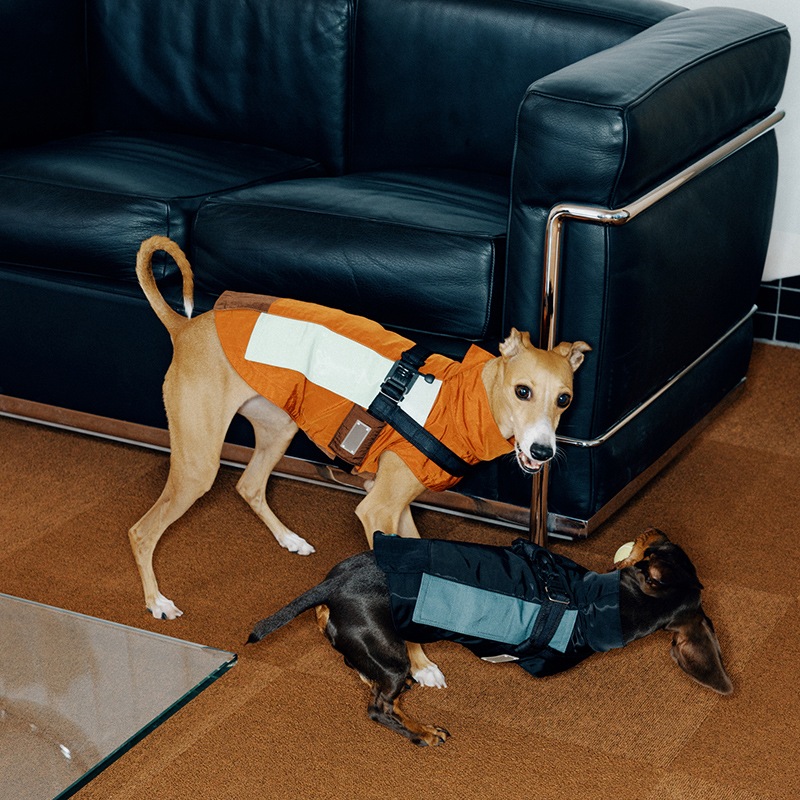 ���ݡ��ƥ��٥��ȡʥϡ��ͥ���°��- Brass*Grey <br> GASU Vari���t��� ��Sporty Vest With  Harness