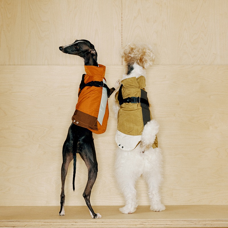 ���ݡ��ƥ��٥��ȡʥϡ��ͥ���°��- Brass*Grey <br> GASU Vari���t��� ��Sporty Vest With  Harness
