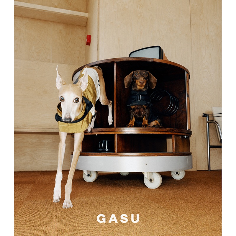 ���ݡ��ƥ��٥��ȡʥϡ��ͥ���°��- Brass*Grey <br> GASU Vari���t��� ��Sporty Vest With  Harness