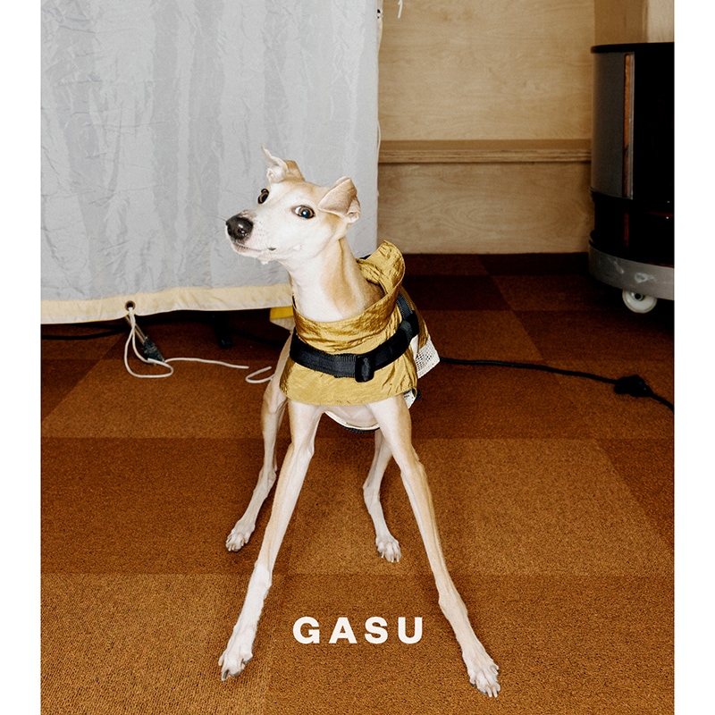 ���ݡ��ƥ��٥��ȡʥϡ��ͥ���°��- Brass*Grey <br> GASU Vari���t��� ��Sporty Vest With  Harness