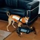 ���ݡ��ƥ��٥��ȡʥϡ��ͥ���°��- Brass*Grey <br> GASU Vari���t��� ��Sporty Vest With  Harness