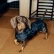 ���ݡ��ƥ��٥��ȡʥϡ��ͥ���°��- Brass*Grey <br> GASU Vari���t��� ��Sporty Vest With  Harness