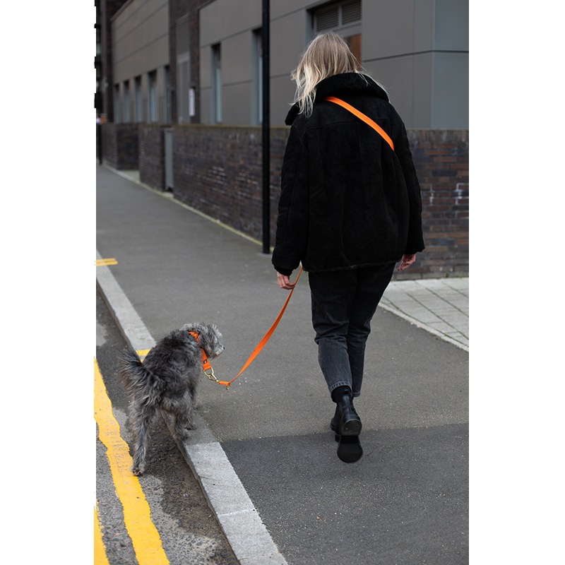 LONG MULTI COTTON LEAD - Black