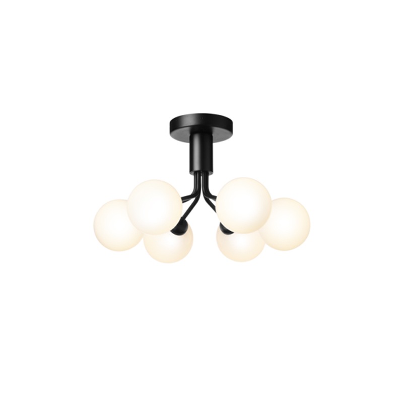 NUURA / APIALES 6 CEILING�������ŵ�����