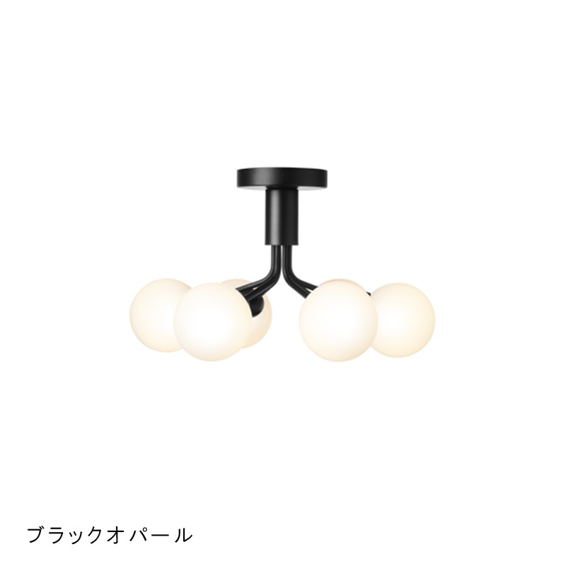 NUURA / APIALES 6 CEILING�������ŵ�����